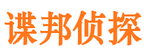 新田市侦探公司